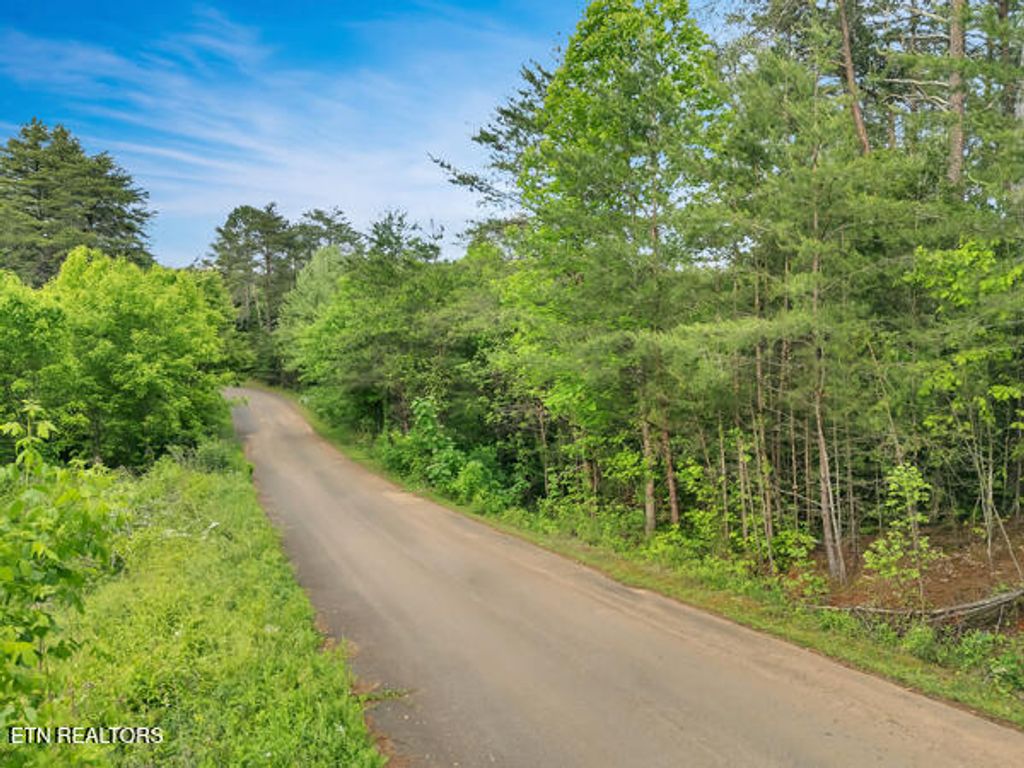 Photo of 22 Symphony Way, Newport, TN 37821 (MLS # 1299866)