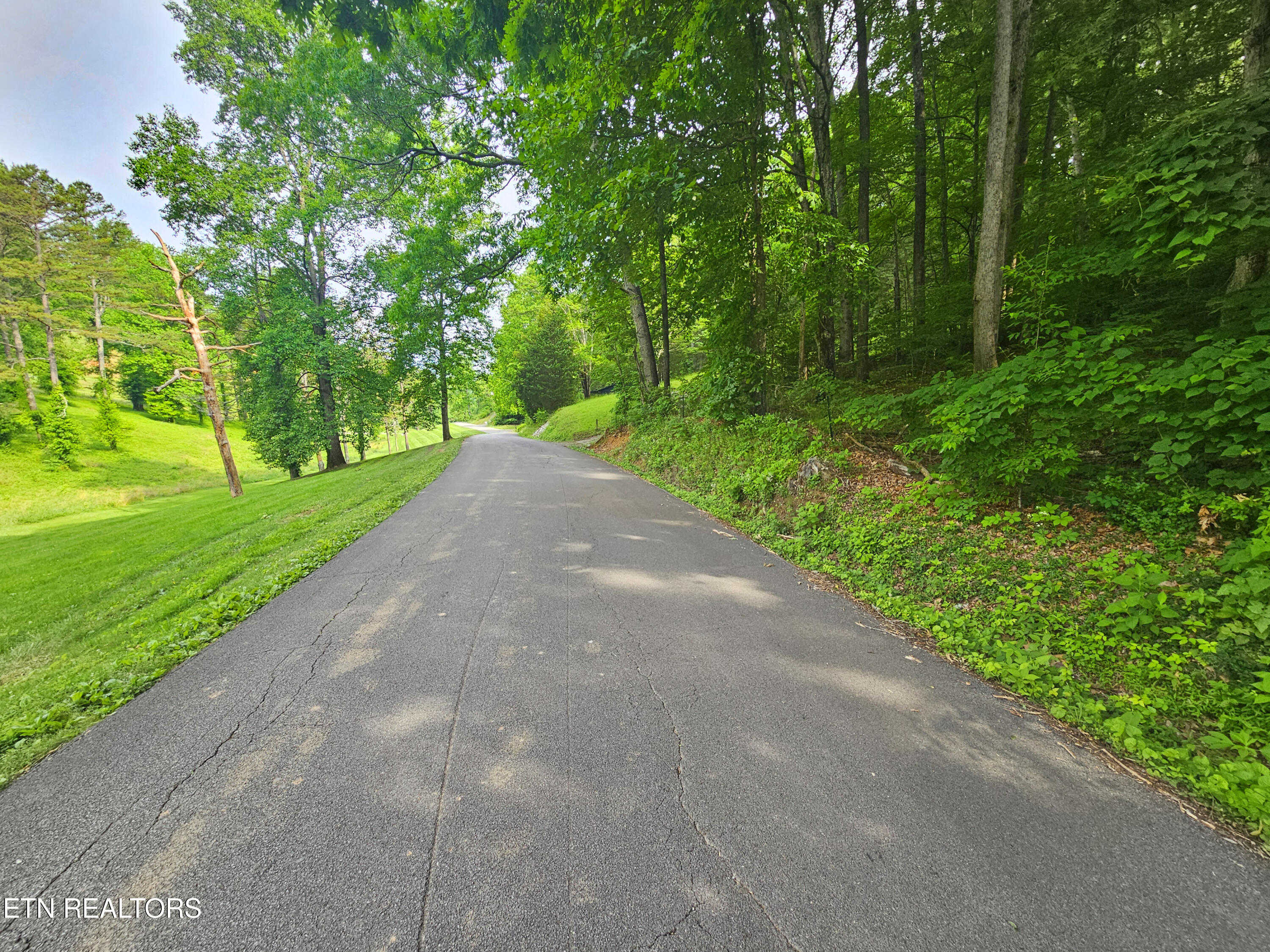 Cruze Rd