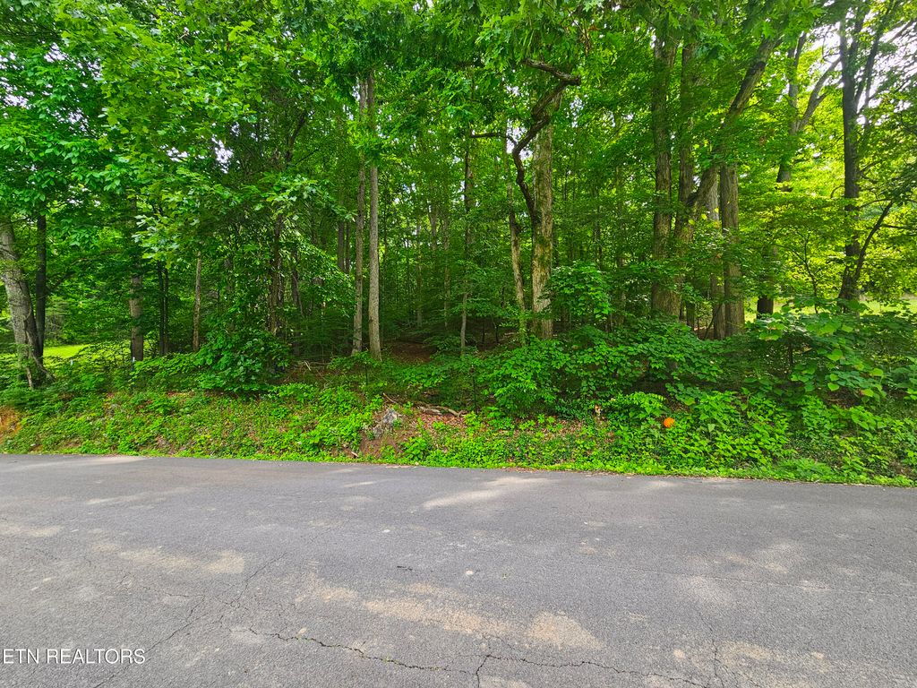 Photo of Cruze Rd, Powell, TN 37849 (MLS # 1303378)