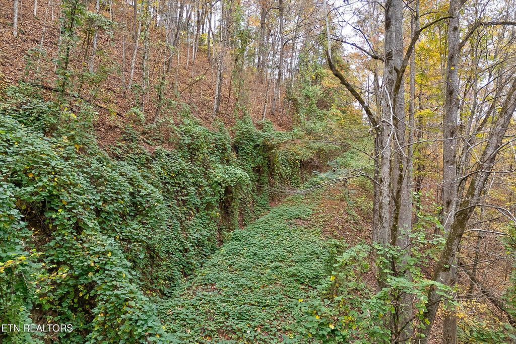 Photo of 123 Timber Grove Rd, Sevierville, TN 37862 (MLS # 1322484)