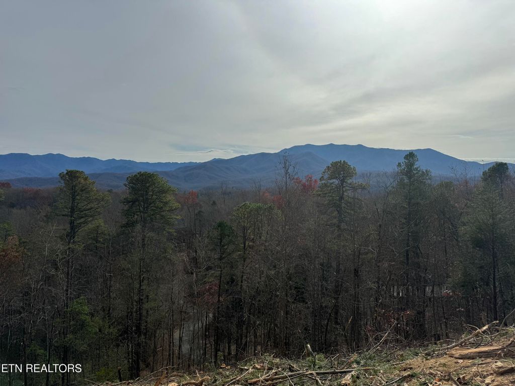 Photo of 000 Vista Drive, Gatlinburg, TN 37738 (MLS # 1308788)