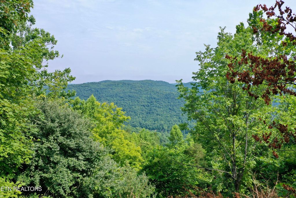 Photo of Wool Lane, Jellico, TN 37762 (MLS # 1331408)