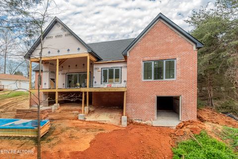 Tiny photo for 182 Golanvyi Tr, Vonore, TN 37885 (MLS # 1333890)