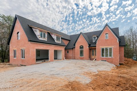 Tiny photo for 182 Golanvyi Tr, Vonore, TN 37885 (MLS # 1333890)