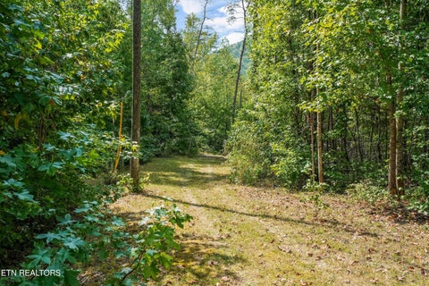 Tiny photo for 9138 Tolson Rd, Knoxville, TN 37938 (MLS # 1358322)
