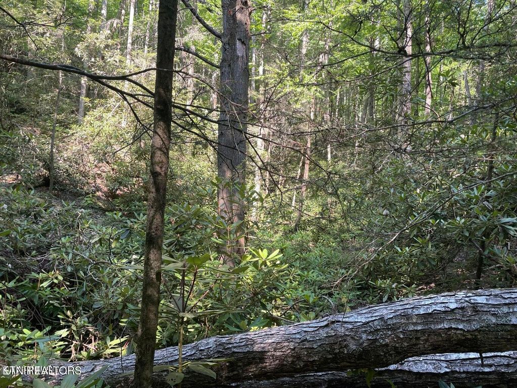 Photo of 6 Sycamore St, Sevierville, TN 37876 (MLS # 1287627)