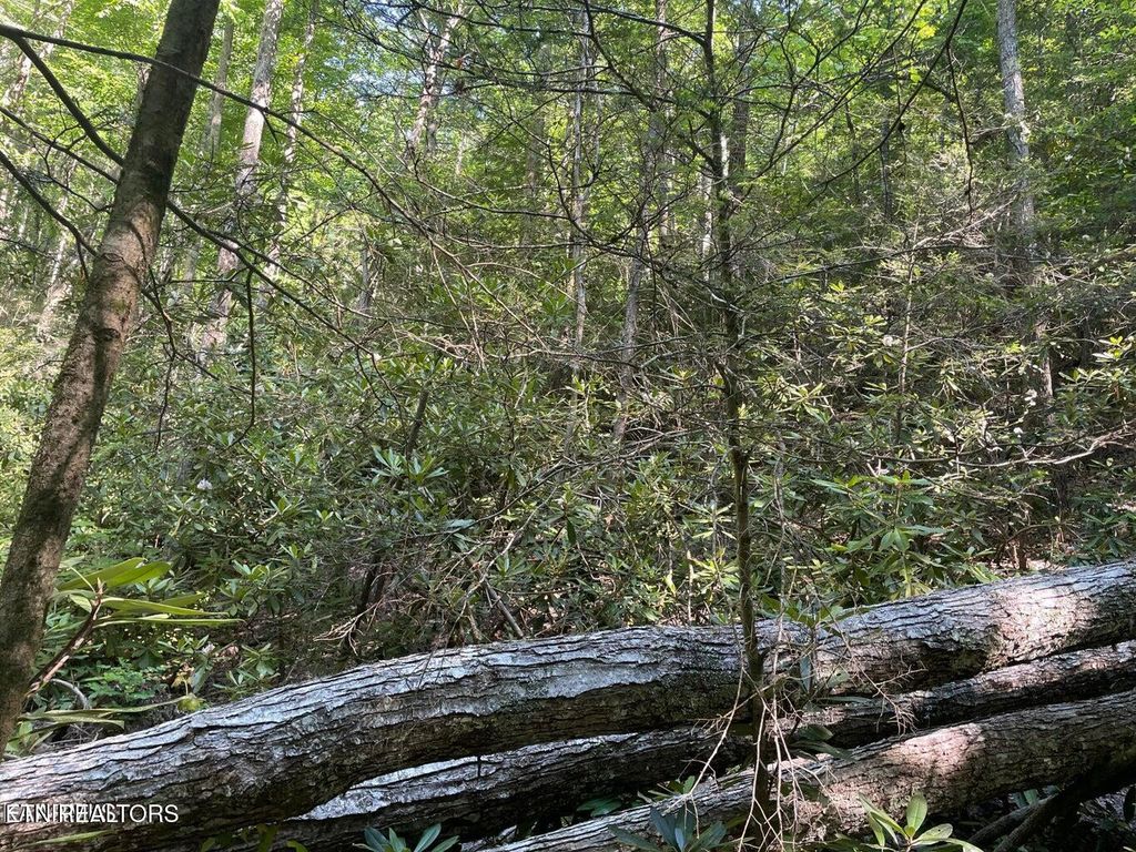 Photo of 6 Sycamore St, Sevierville, TN 37876 (MLS # 1287627)