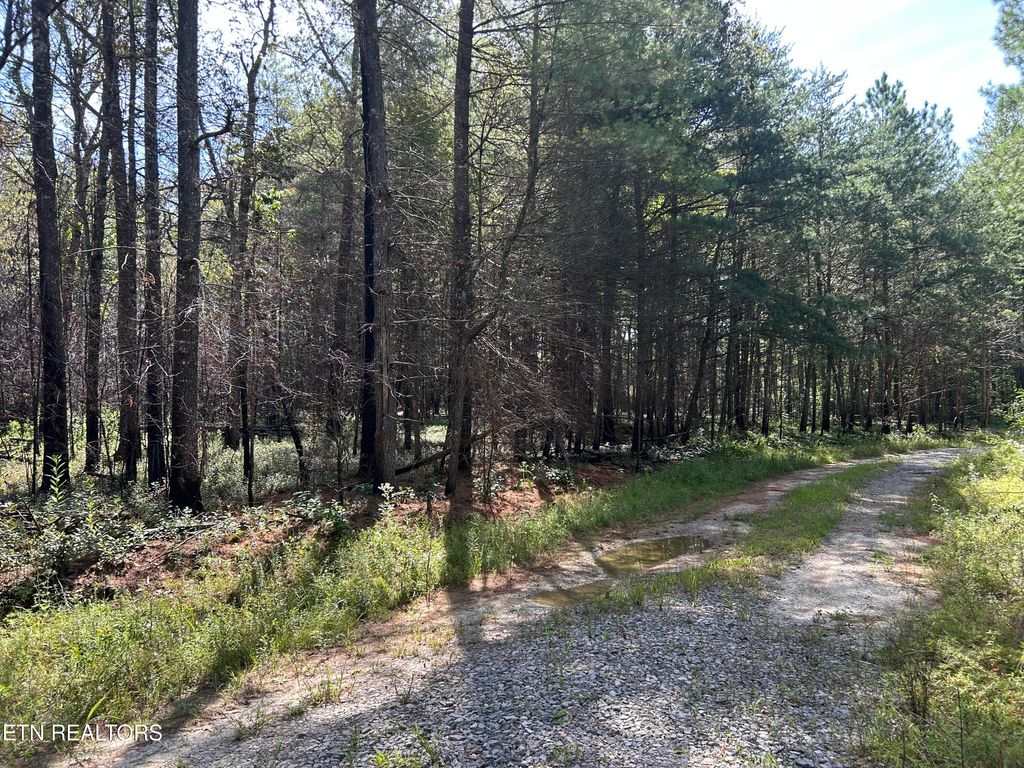 Photo of 241 Star Lake Way Way, Deer Lodge, TN 37726 (MLS # 1313606)