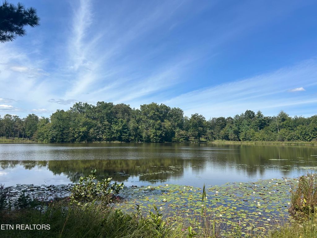 Photo of 241 Star Lake Way Way, Deer Lodge, TN 37726 (MLS # 1313606)