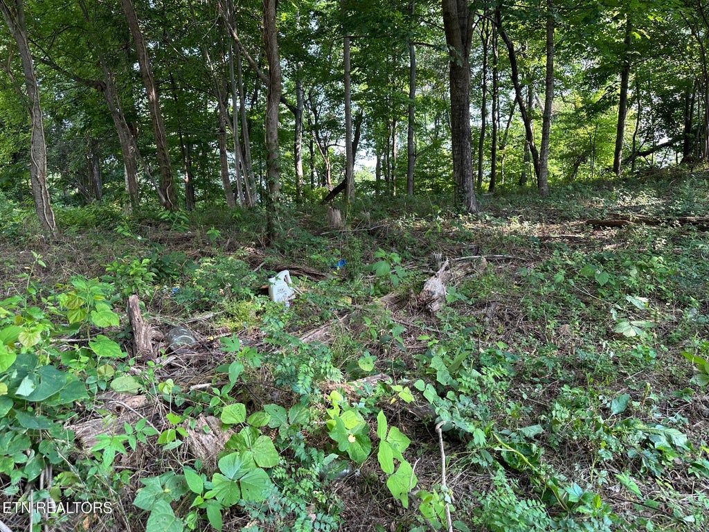 Photo of 0 Black Oak Estate Rd, Dayton, TN 37321 (MLS # 1309461)