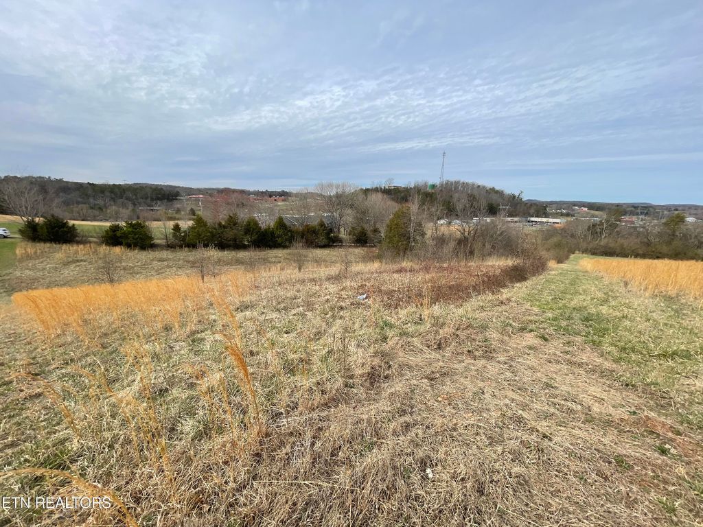 Photo of 251 High St, Tellico Plains, TN 37385 (MLS # 1254859)
