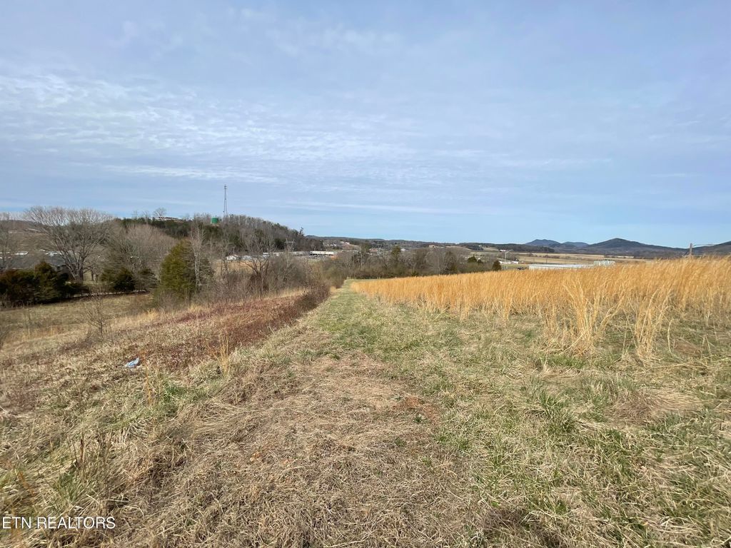 Photo of 251 High St, Tellico Plains, TN 37385 (MLS # 1254859)