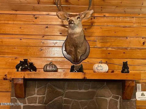 Tiny photo for 929 Buck Way, Sevierville, TN 37876 (MLS # 1337825)