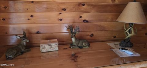 Tiny photo for 929 Buck Way, Sevierville, TN 37876 (MLS # 1337825)