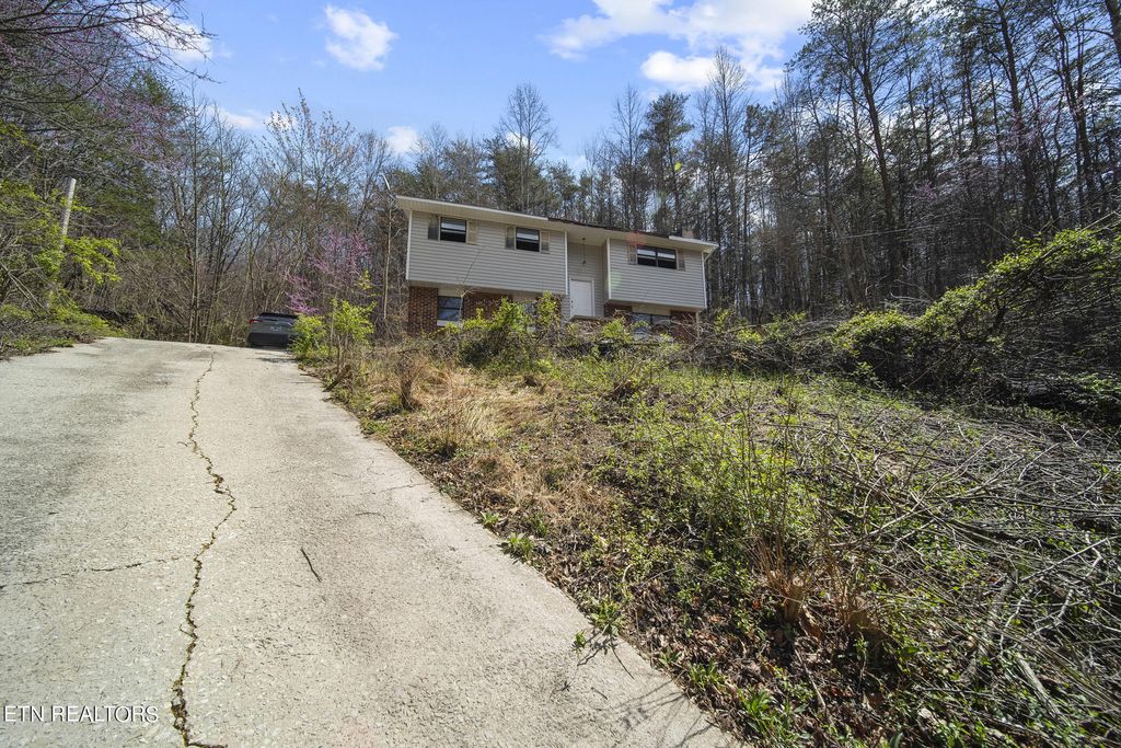 Photo of 246 Graves Hollow Rd, Maynardville, TN 37807 (MLS # 1257581)