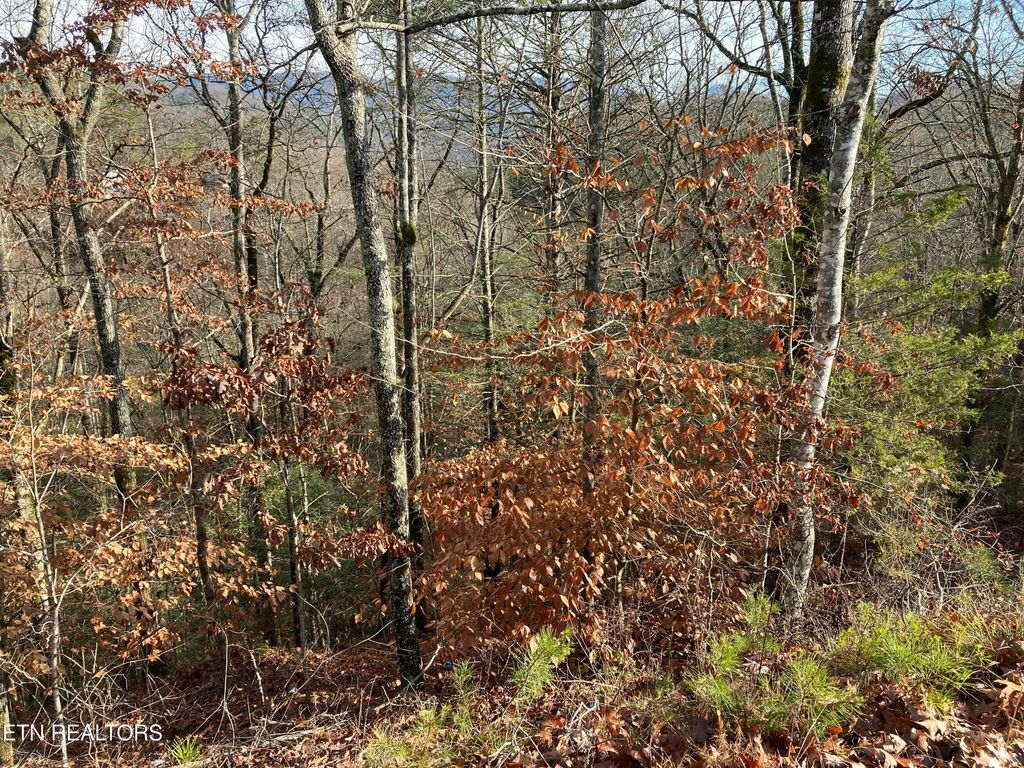 Photo of 51 Red Cedar Ln, Sevierville, TN 37876 (MLS # 1285249)
