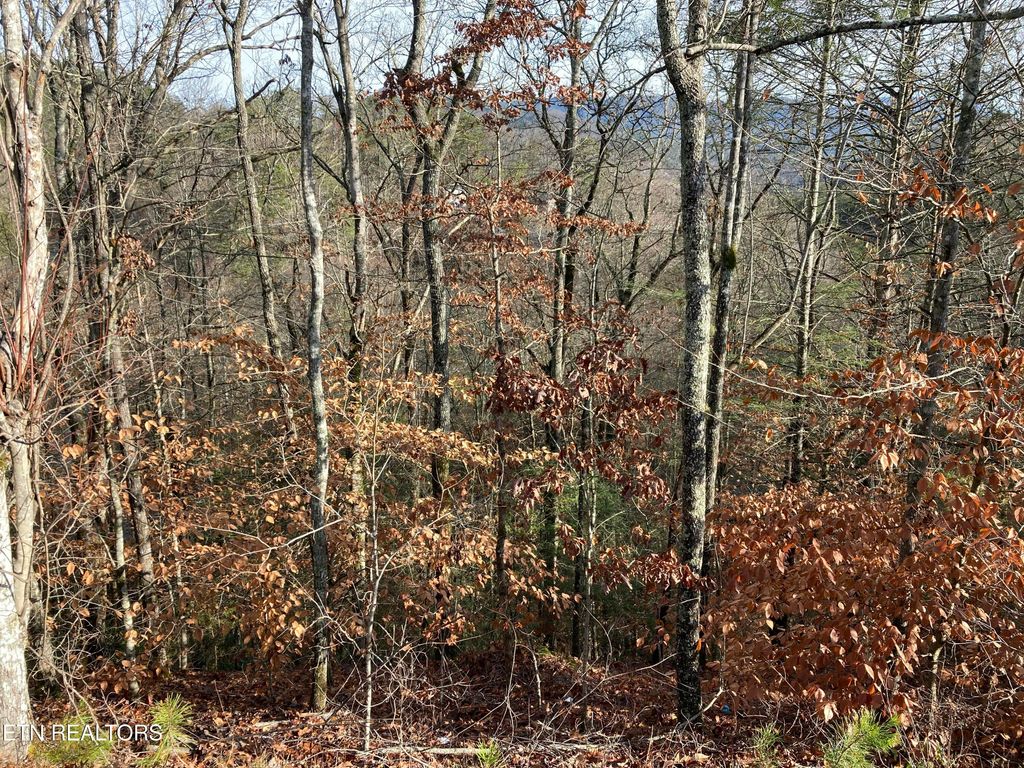 Photo of 51 Red Cedar Ln, Sevierville, TN 37876 (MLS # 1285249)