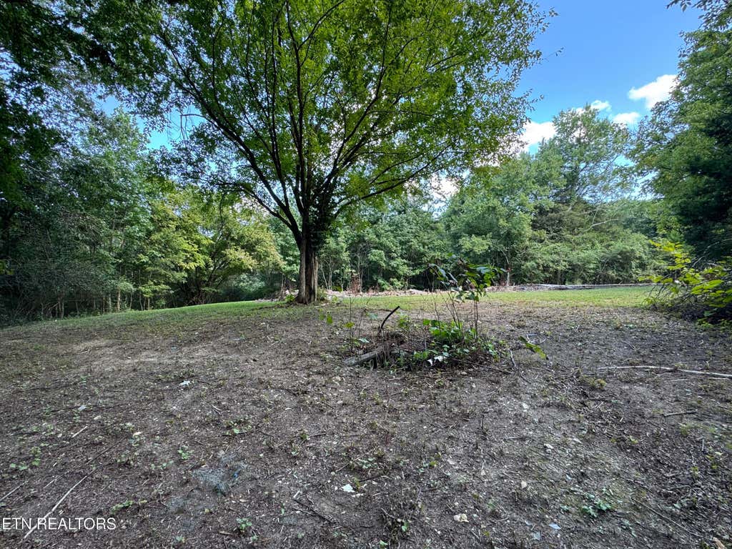 Photo of 1703 River Rd, Decatur, TN 37322 (MLS # 1312339)