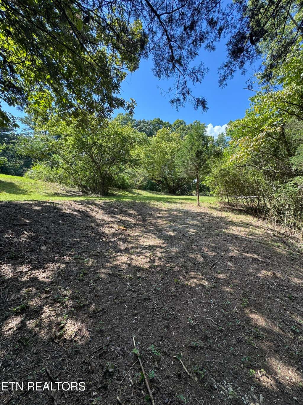 Photo of 1703 River Rd, Decatur, TN 37322 (MLS # 1312339)