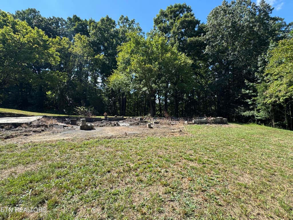Photo of 1703 River Rd, Decatur, TN 37322 (MLS # 1312339)
