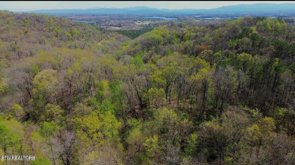 Photo of 0 Knob Rd, Vonore, TN 37885 (MLS # 1337394)