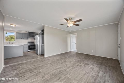 Tiny photo for 612 Pond Hill Road Rd, Niota, TN 37826 (MLS # 1317513)