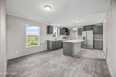 Tiny photo for 612 Pond Hill Road Rd, Niota, TN 37826 (MLS # 1317513)
