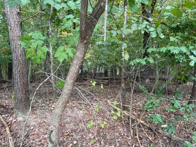 Photo of 122 Ivy Lane, Fairfield Glade, TN 38558 (MLS # 1354631)