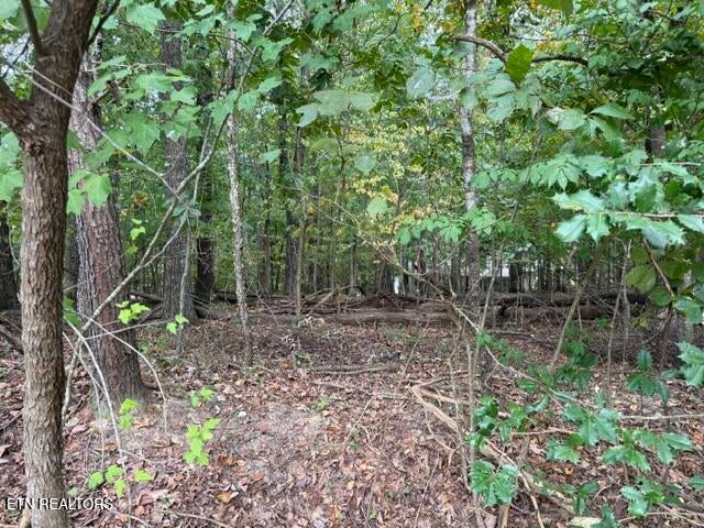 Photo of 122 Ivy Lane, Fairfield Glade, TN 38558 (MLS # 1354631)
