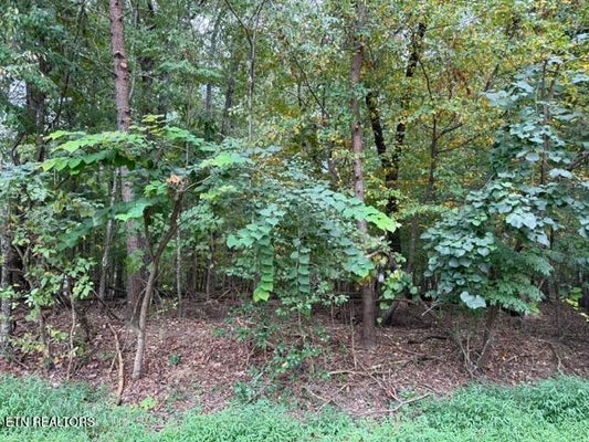 122 IVY LN, CROSSVILLE, TN 38558 - Image 6e56cd5eaa990829065ed9ecfbe9e0e6/46923957