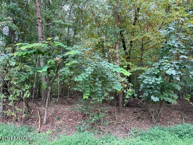 Photo of 122 Ivy Lane, Fairfield Glade, TN 38558 (MLS # 1354631)