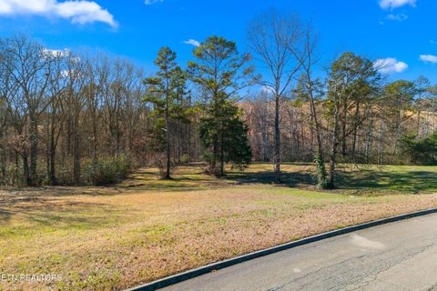 Tiny photo for 18771883 Lakebrook Circle, Dandridge, TN 37725 (MLS # 1324727)
