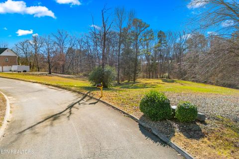 Tiny photo for 18771883 Lakebrook Circle, Dandridge, TN 37725 (MLS # 1324727)