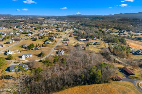Tiny photo for 18771883 Lakebrook Circle, Dandridge, TN 37725 (MLS # 1324727)