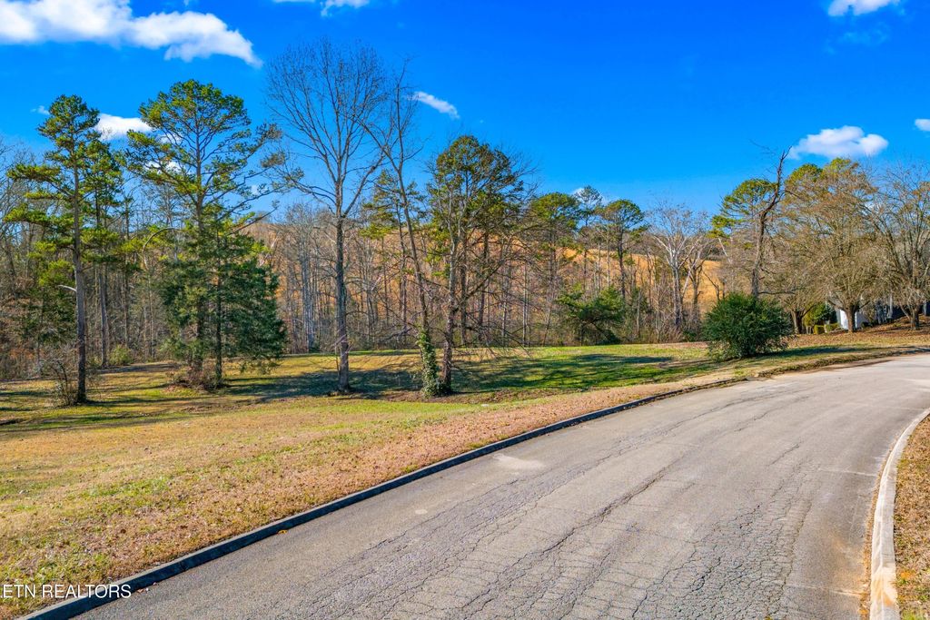 Photo of 18771883 Lakebrook Circle, Dandridge, TN 37725 (MLS # 1324727)