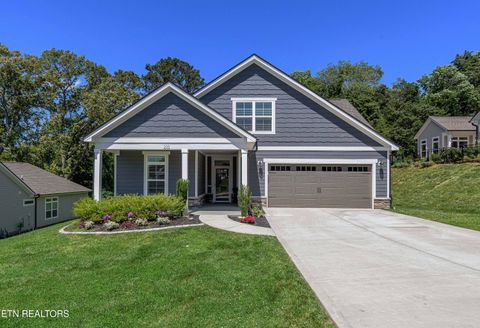 225 Cedar Branch Tr Lenoir City TN 37772