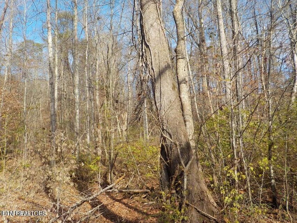 Photo of McKinney Road, Blaine, TN 37709 (MLS # 1283017)