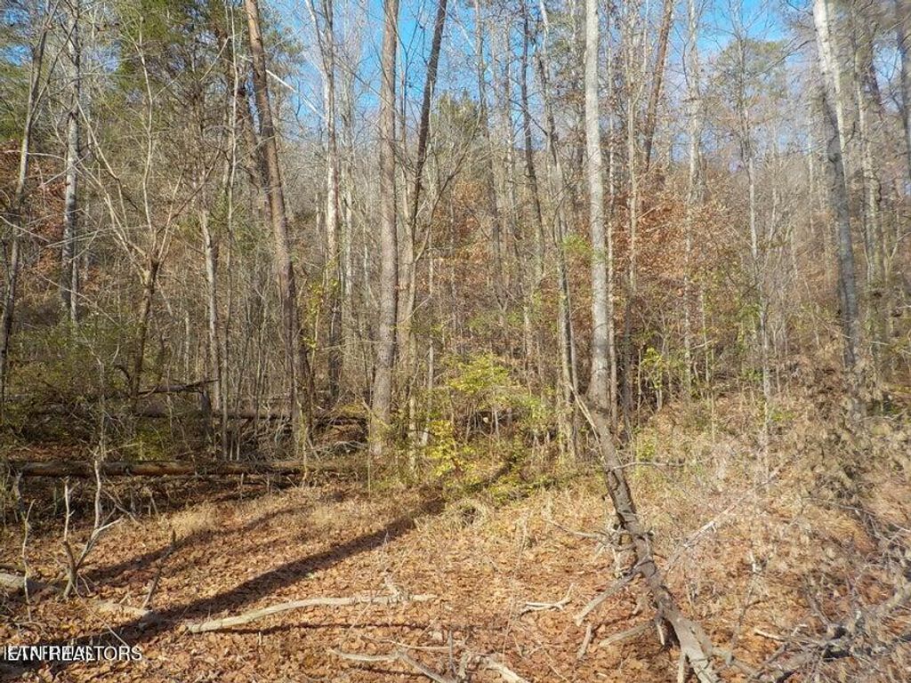Photo of McKinney Road, Blaine, TN 37709 (MLS # 1283017)