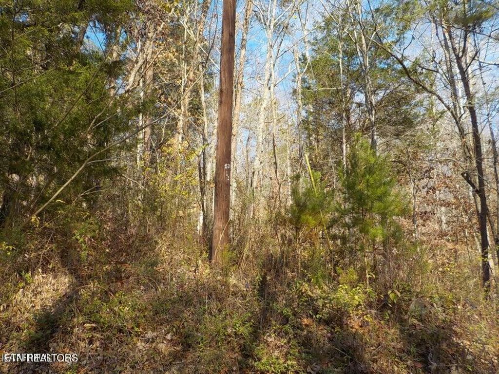 Photo of McKinney Road, Blaine, TN 37709 (MLS # 1283017)