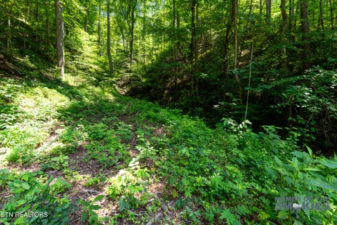 Tiny photo for 1 Carrs Creek Rd, Townsend, TN 37882 (MLS # 1344609)
