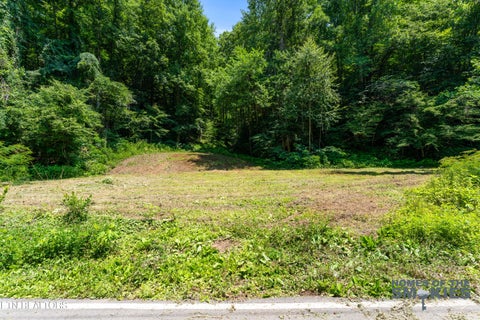 Tiny photo for 1 Carrs Creek Rd, Townsend, TN 37882 (MLS # 1344609)