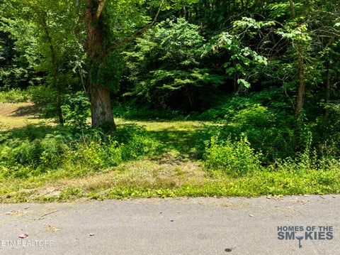 Tiny photo for 1 Carrs Creek Rd, Townsend, TN 37882 (MLS # 1344609)