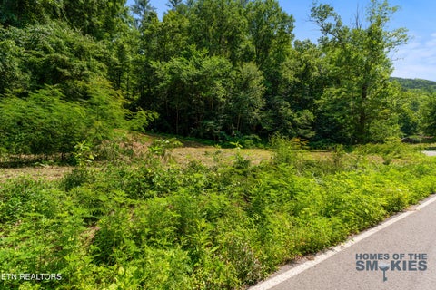 Tiny photo for 1 Carrs Creek Rd, Townsend, TN 37882 (MLS # 1344609)