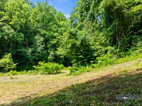 Tiny photo for 1 Carrs Creek Rd, Townsend, TN 37882 (MLS # 1344609)