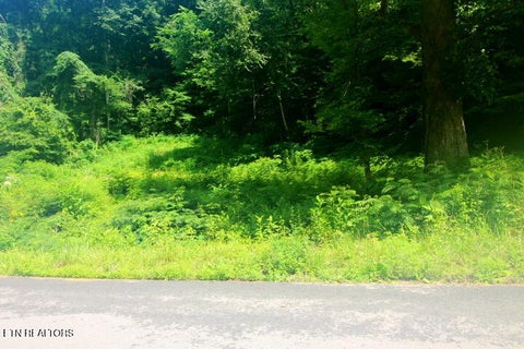 Tiny photo for 1 Carrs Creek Rd, Townsend, TN 37882 (MLS # 1344609)