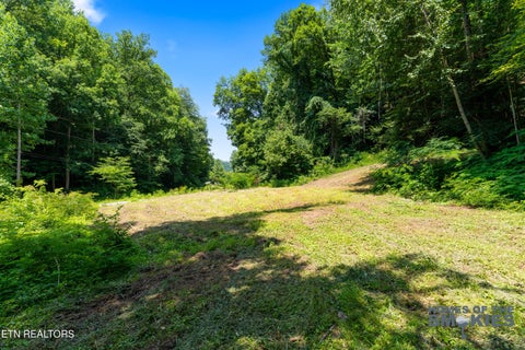 Tiny photo for 1 Carrs Creek Rd, Townsend, TN 37882 (MLS # 1344609)
