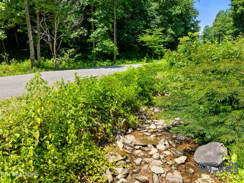 Tiny photo for 1 Carrs Creek Rd, Townsend, TN 37882 (MLS # 1344609)
