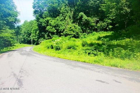 Tiny photo for 1 Carrs Creek Rd, Townsend, TN 37882 (MLS # 1344609)