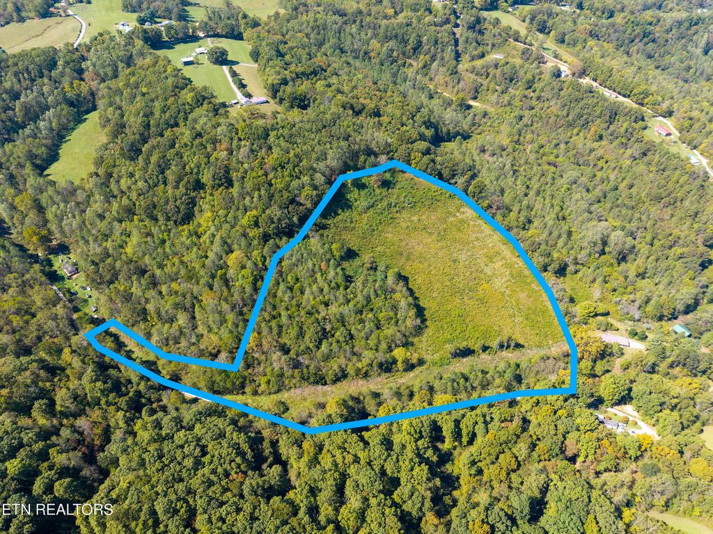 Photo of 427 Daniel Hollow Rd, New Tazewell, TN 37825 (MLS # 1318170)