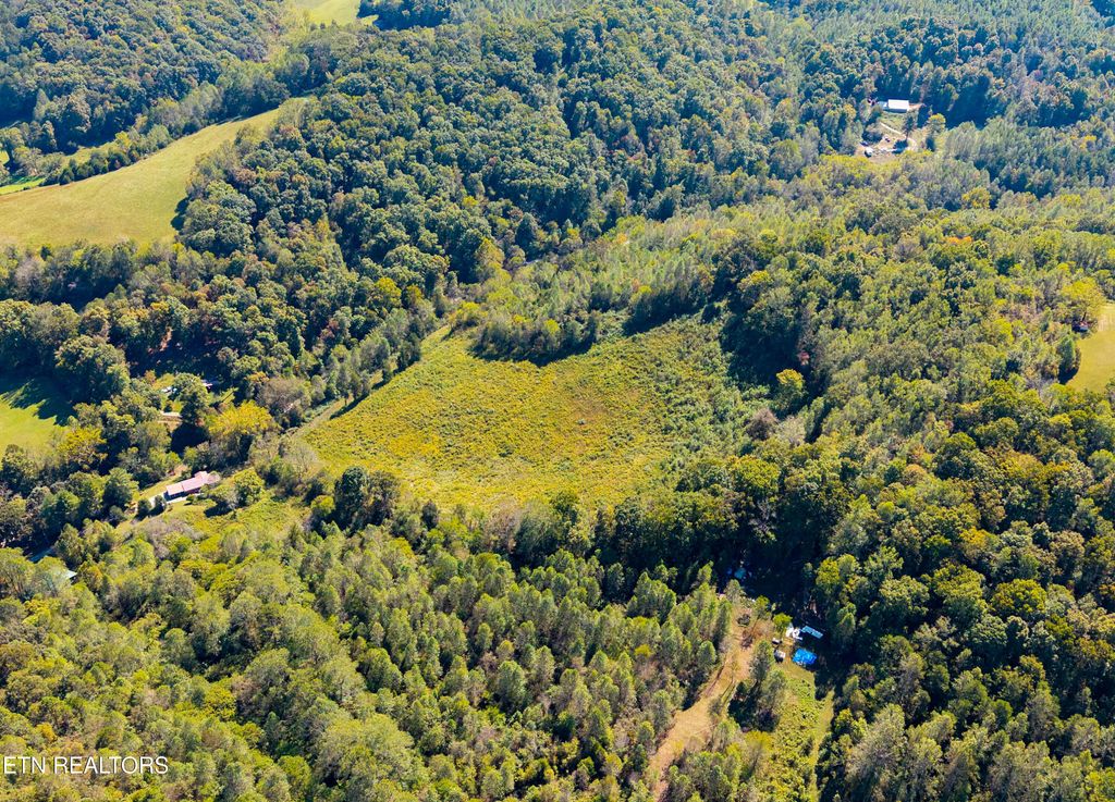 Photo of 427 Daniel Hollow Rd, New Tazewell, TN 37825 (MLS # 1318170)